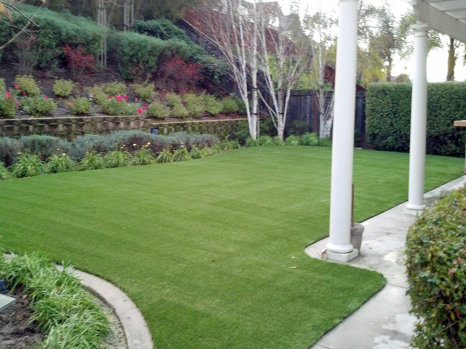Artificial Lawn Prunedale, California Garden Ideas, Backyard Makeover