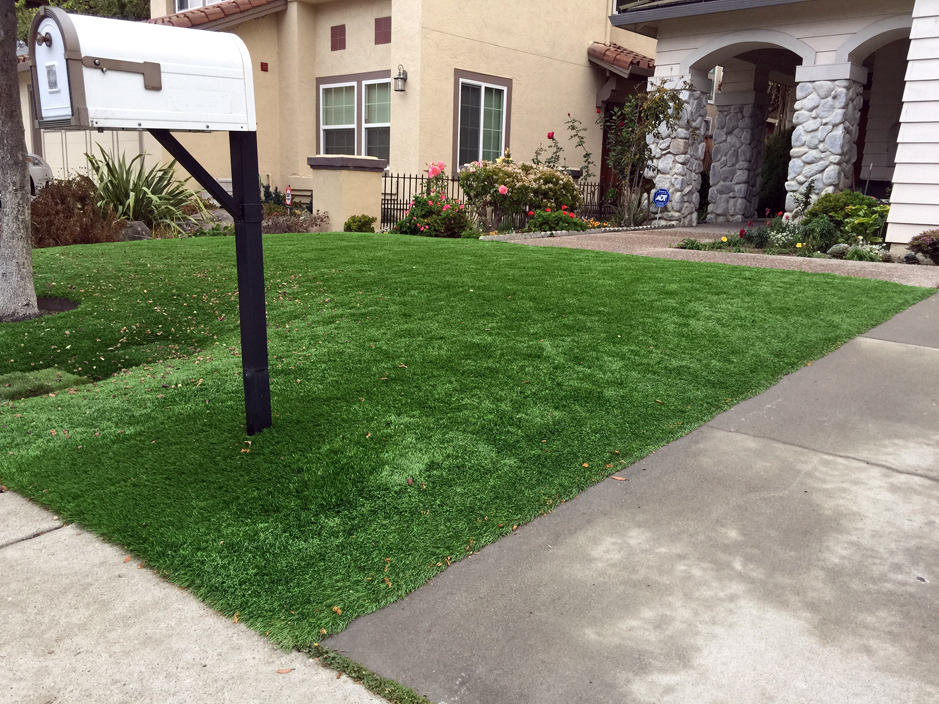 Fake Turf Burbank California Lawns Front Yard Design