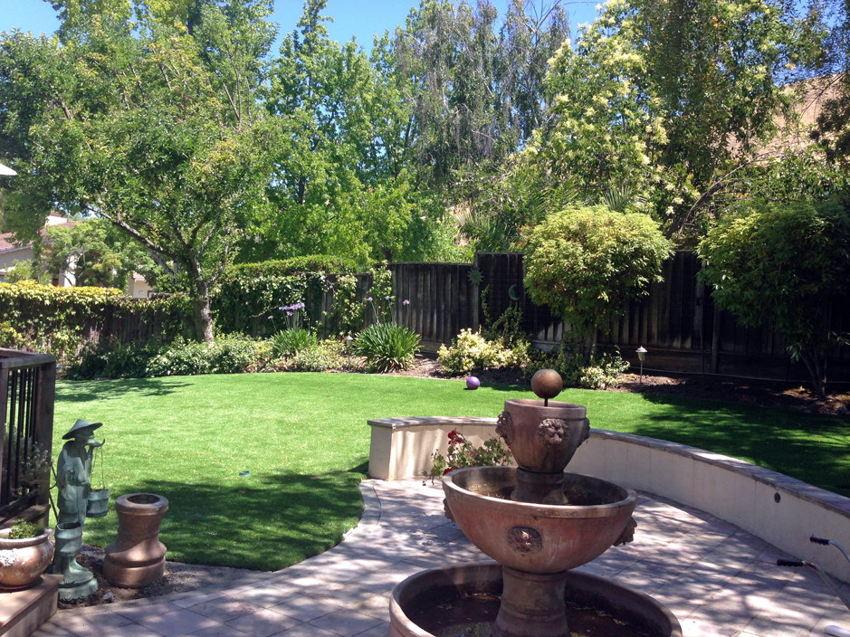 Fake Turf North Fair Oaks California Landscape Ideas Backyard