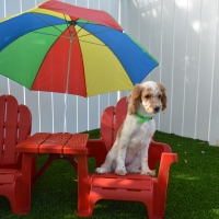 Artificial Grass Copperopolis, California Dog Parks, Dog Kennels