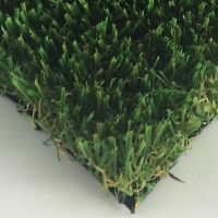 Pet Turf