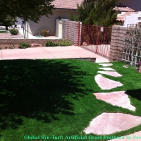 Artificial Turf Installation Ashland, California Indoor Dog Park, Front Yard Landscaping