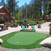 Best Artificial Grass Emeryville, California Golf Green, Beautiful Backyards