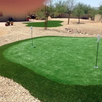 Fake Grass Carpet Tahoma, California Outdoor Putting Green, Backyard