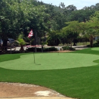 Fake Grass Corralitos, California Landscaping, Front Yard Ideas