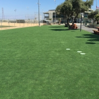 Fake Grass Sheridan, California Roof Top, Parks