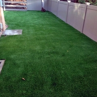 Fake Lawn Penngrove, California Gardeners, Small Backyard Ideas