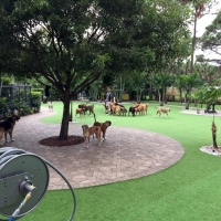 Fake Lawn Windsor, California Drainage, Commercial Landscape