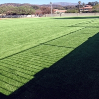 Fake Turf Emerald Lake Hills, California Design Ideas