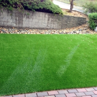 Grass Carpet East Richmond Heights, California Gardeners, Backyard Landscaping