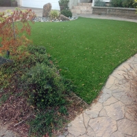 Grass Installation El Verano, California Hotel For Dogs, Small Backyard Ideas