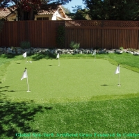 Green Lawn El Cerrito, California City Landscape, Backyard Makeover