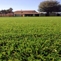 Green Lawn Palo Alto, California Football Field