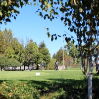 Installing Artificial Grass Firebaugh, California Roof Top