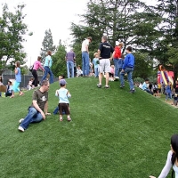 Installing Artificial Grass South Dos Palos, California Gardeners, Parks