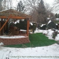 Plastic Grass San Pablo, California Backyard Playground, Backyard Landscape Ideas