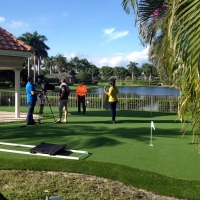 Plastic Grass Tara Hills, California Home Putting Green, Backyard Garden Ideas