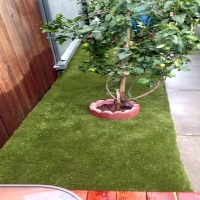 Synthetic Grass Cost West Sacramento, California Dog Run, Backyard Makeover