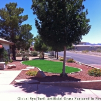 Synthetic Lawn Berkeley, California Gardeners, Front Yard Ideas