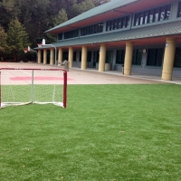 Synthetic Turf Carmel Valley Village, California Stadium, Commercial Landscape