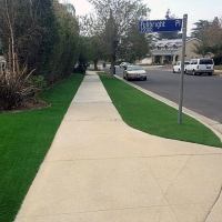 Synthetic Turf South San Francisco, California Lawns, Front Yard Ideas