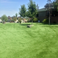 Synthetic Turf Supplier Petaluma, California Landscaping Business, Recreational Areas