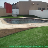 Turf Grass Belvedere, California Home And Garden, Swimming Pools