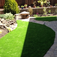 Turf Grass Plymouth, California Backyard Playground