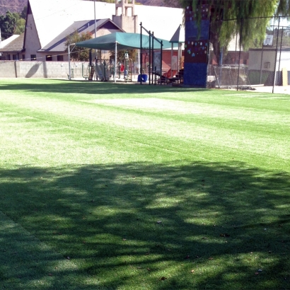 Artificial Grass Carpet Alamo, California Landscape Ideas, Parks