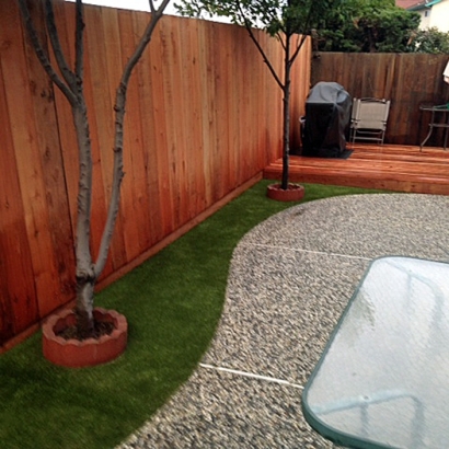 Artificial Grass Carpet Patterson, California Backyard Deck Ideas, Backyard Design