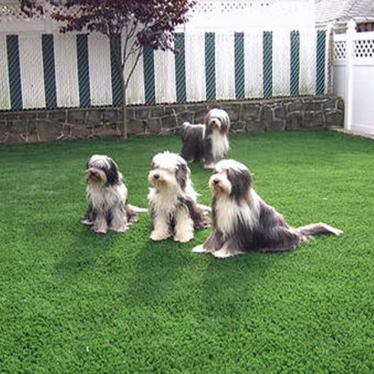 Artificial Grass Installation Caruthers, California Landscape Rock, Backyard Makeover