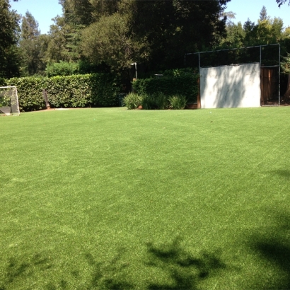Artificial Lawn Del Rey, California Softball, Backyard Designs
