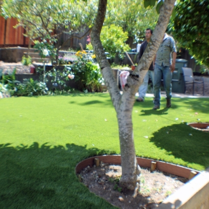 Artificial Lawn Hughson, California Landscaping Business, Beautiful Backyards