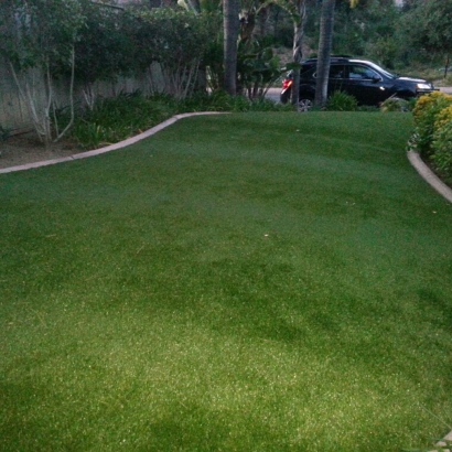 Artificial Lawn Loomis, California Home And Garden, Small Front Yard Landscaping