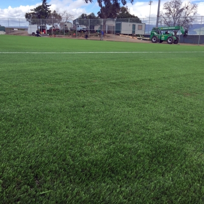 Artificial Lawn Middletown, California Softball