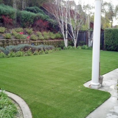 Artificial Lawn Prunedale, California Garden Ideas, Backyard Makeover