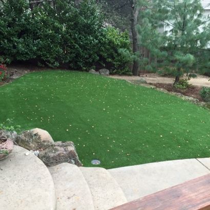 Artificial Lawn San Juan Bautista, California Home And Garden, Backyard Design