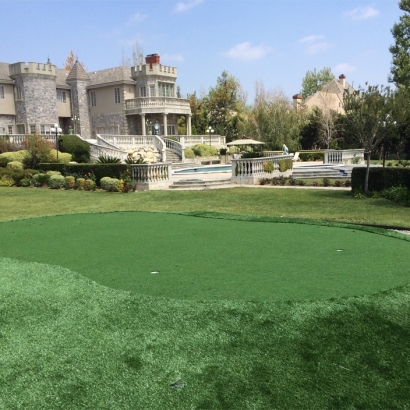 Artificial Turf Cost Alamo, California Lawns, Front Yard Design