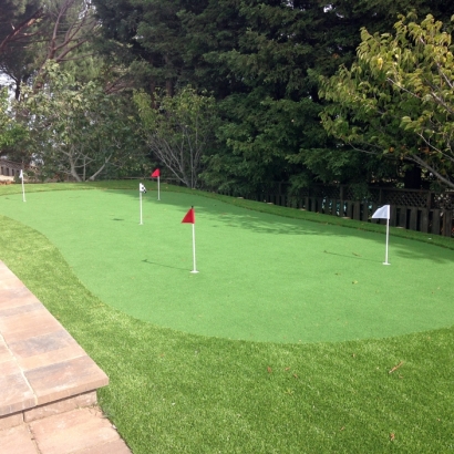 Artificial Turf Cost Bonadelle Ranchos-Madera Ranchos, California Home Putting Green, Backyard