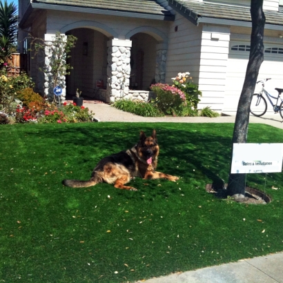 Artificial Turf Cost Pleasant Hill, California Landscape Ideas, Small Front Yard Landscaping