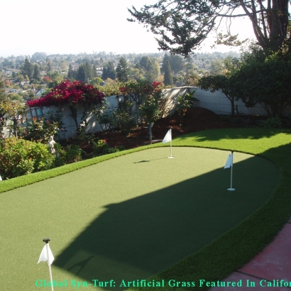 Artificial Turf Cost San Leandro, California Landscape Ideas, Backyard Designs