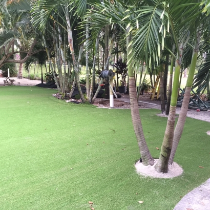 Artificial Turf Cost Soda Bay, California Paver Patio, Commercial Landscape