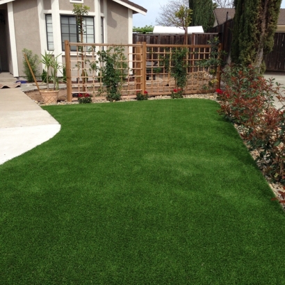 Artificial Turf Hollister, California Garden Ideas, Front Yard