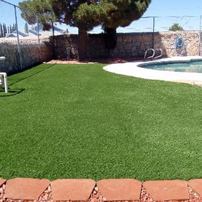 Artificial Turf Installation Byron, California Dog Park, Backyard Pool