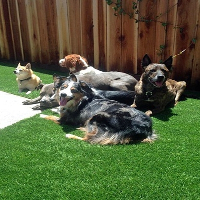 Artificial Turf Rancho Calaveras, California Paver Patio, Backyard Makeover