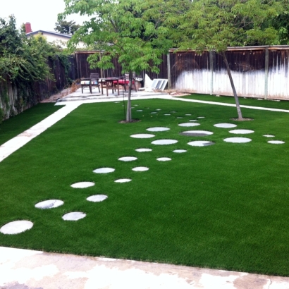 Artificial Turf Sunnyvale, California Gardeners, Backyard Designs