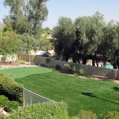 Best Artificial Grass Aptos, California Putting Green Flags, Small Backyard Ideas