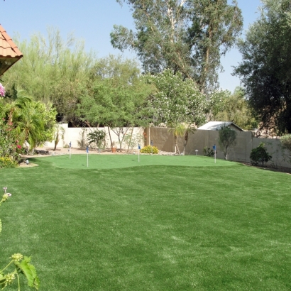 Best Artificial Grass Aptos, California Putting Green Flags, Small Backyard Ideas