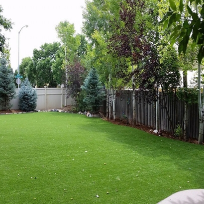 Best Artificial Grass Morada, California Dog Hospital, Backyard Designs