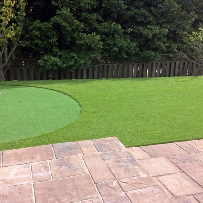 Best Artificial Grass Vine Hill, California Landscaping Business, Backyard Landscape Ideas